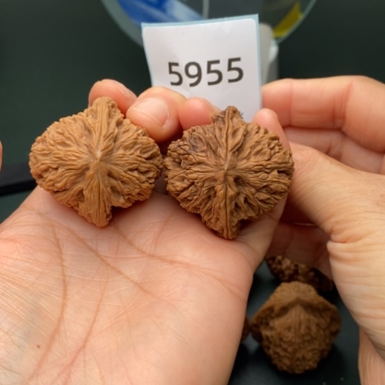 把件文玩核桃39南疆石5955