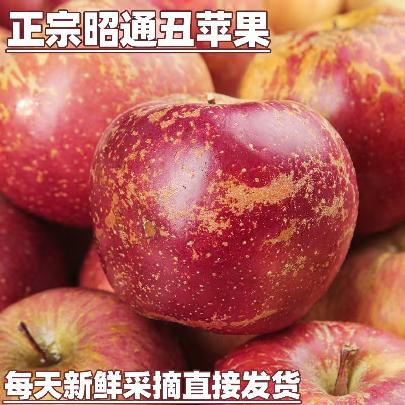 云南昭通红富士冰糖心丑苹果新鲜现摘脆甜多汁