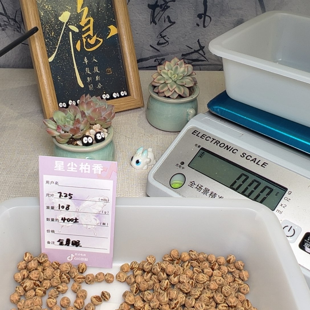 柏香籽/百香籽吊坠