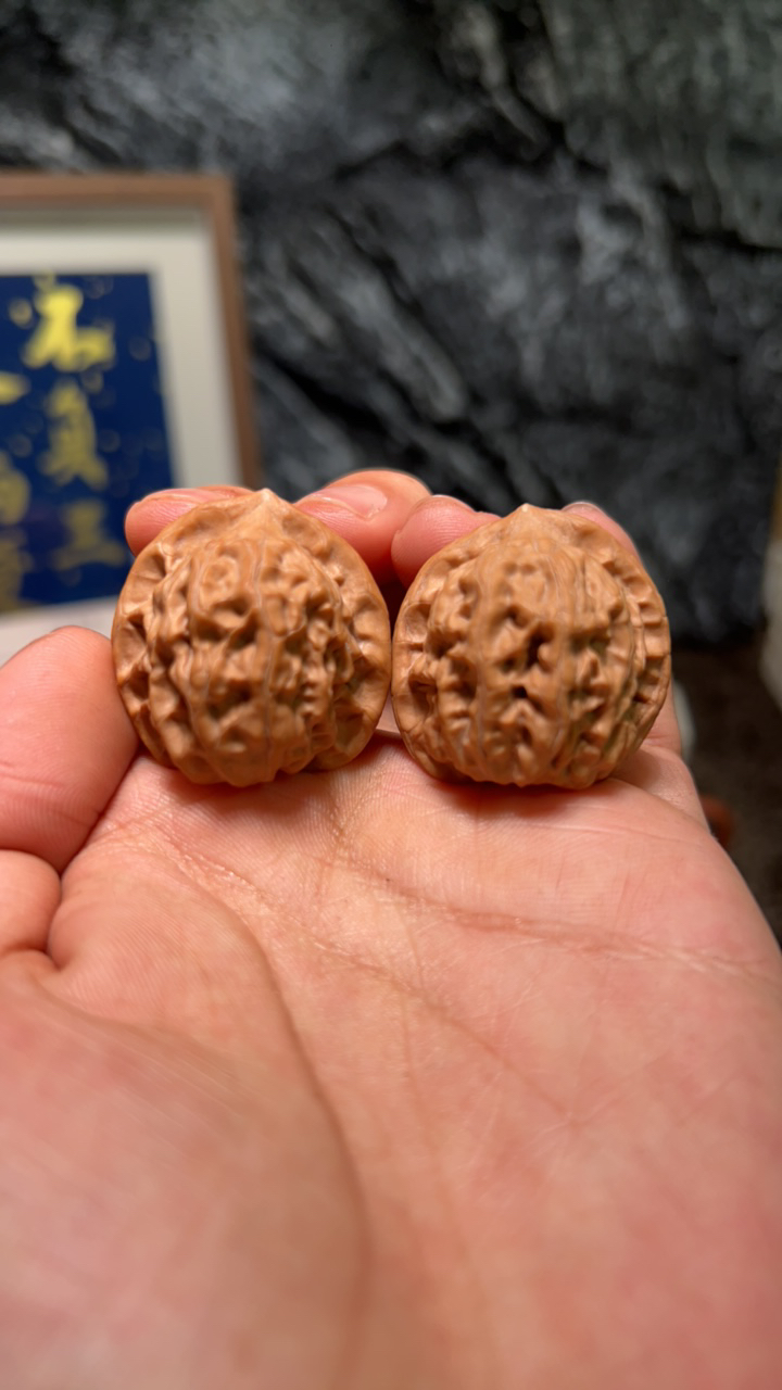 文玩核桃 原生树赤兔 6765 号 32.5 尺寸