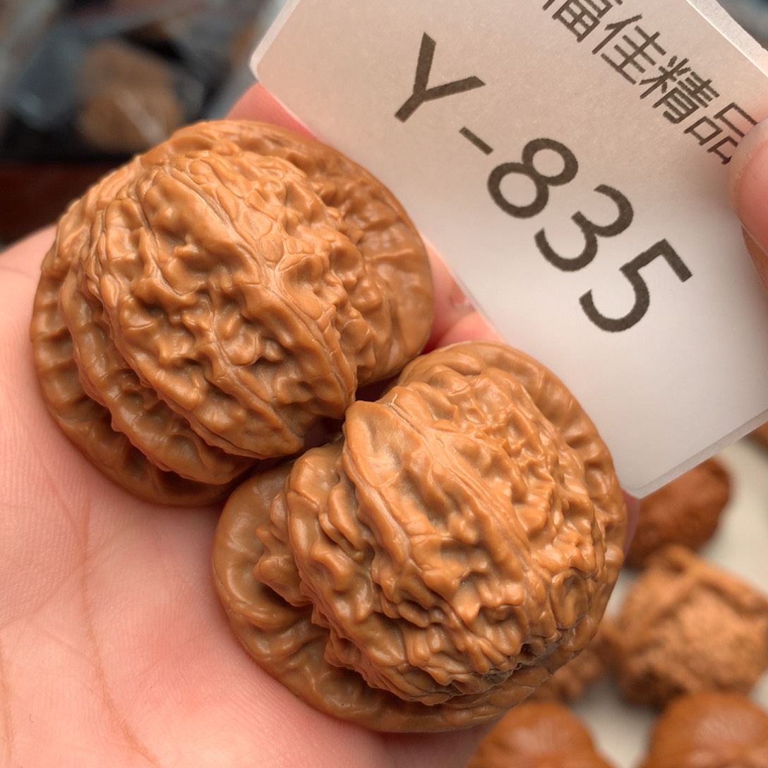 文玩核桃把件41白狮子…………..