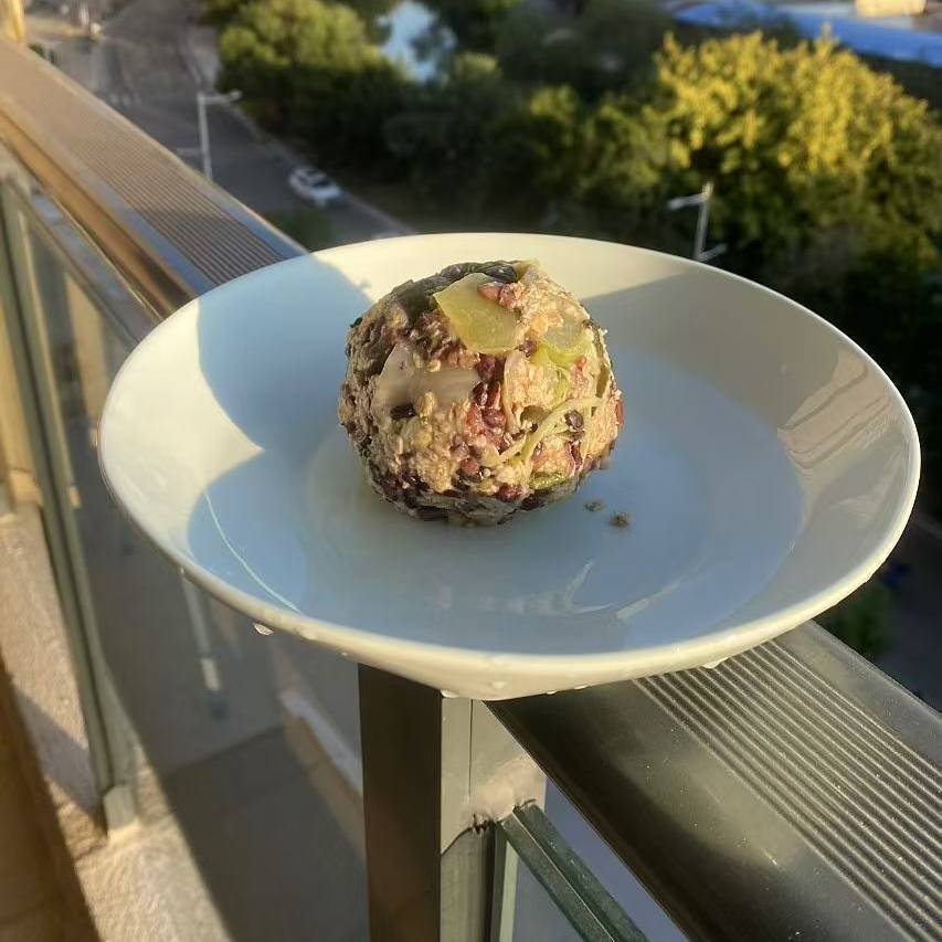 【10斤自制狗饭】15斤以上的狗狗拍，50个左右100g能量球，能吃半个月