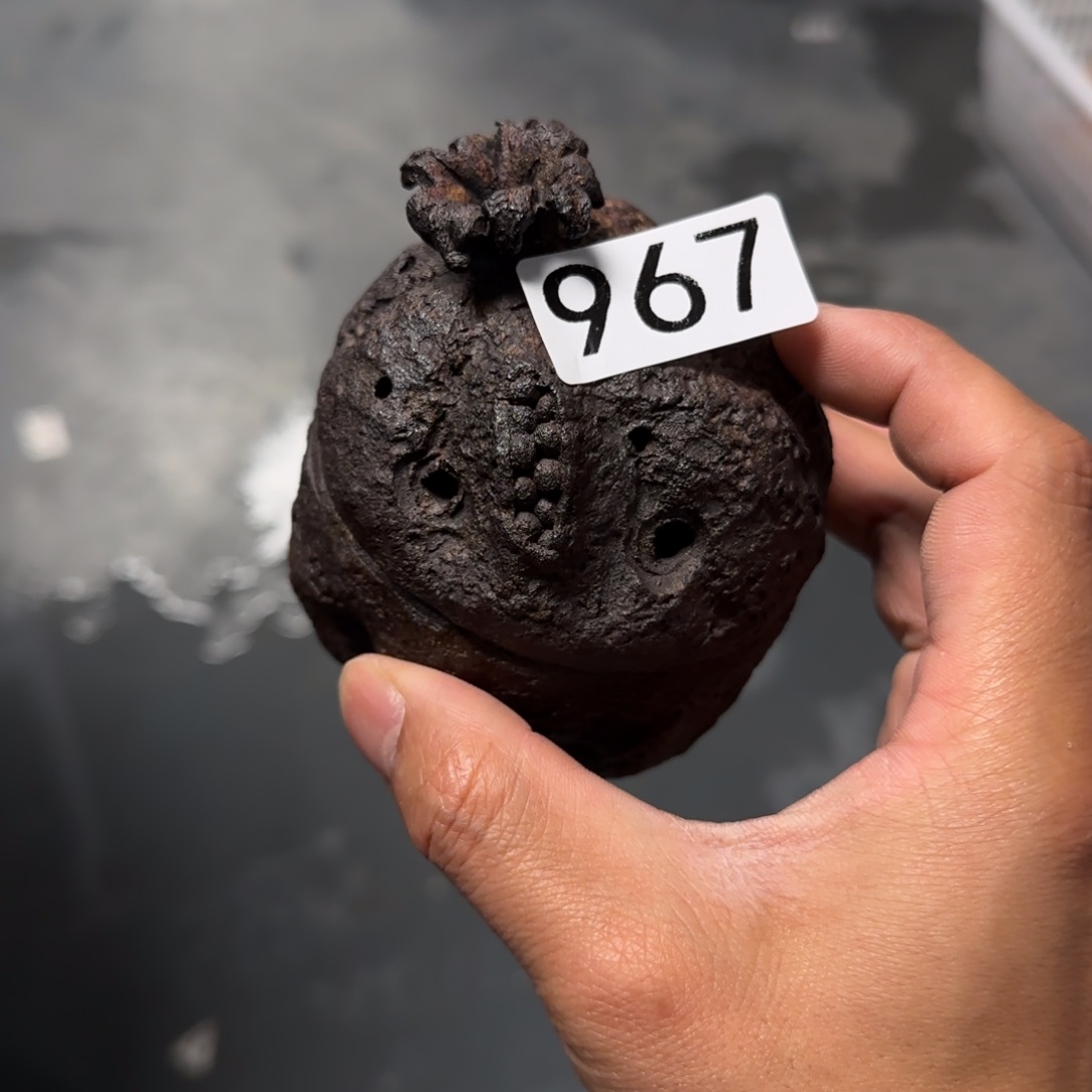 杯墨**华在这里花小钱办大事