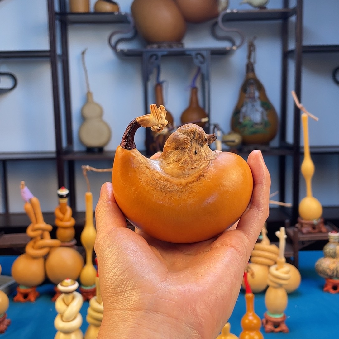 记***得葫芦2344567899876543456