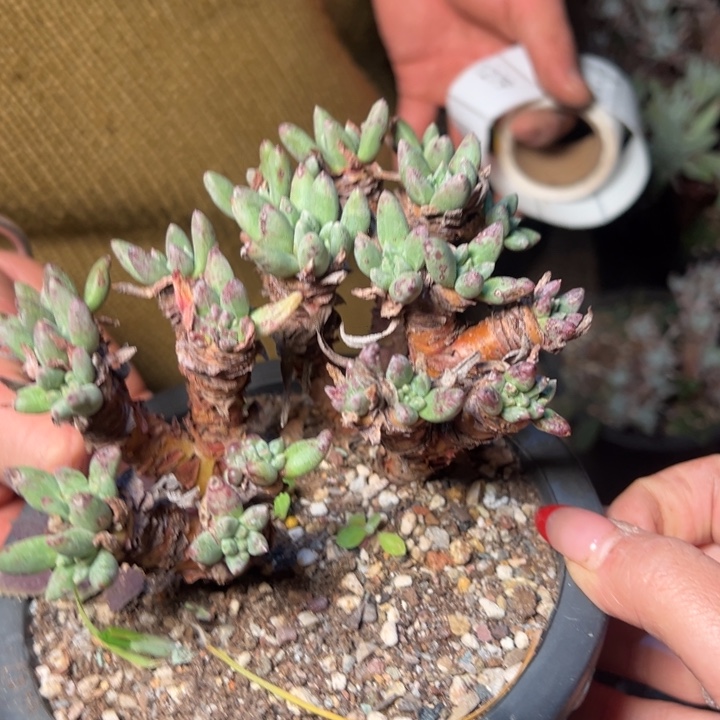 1304哈哈哈哈哈哈哈哈哈