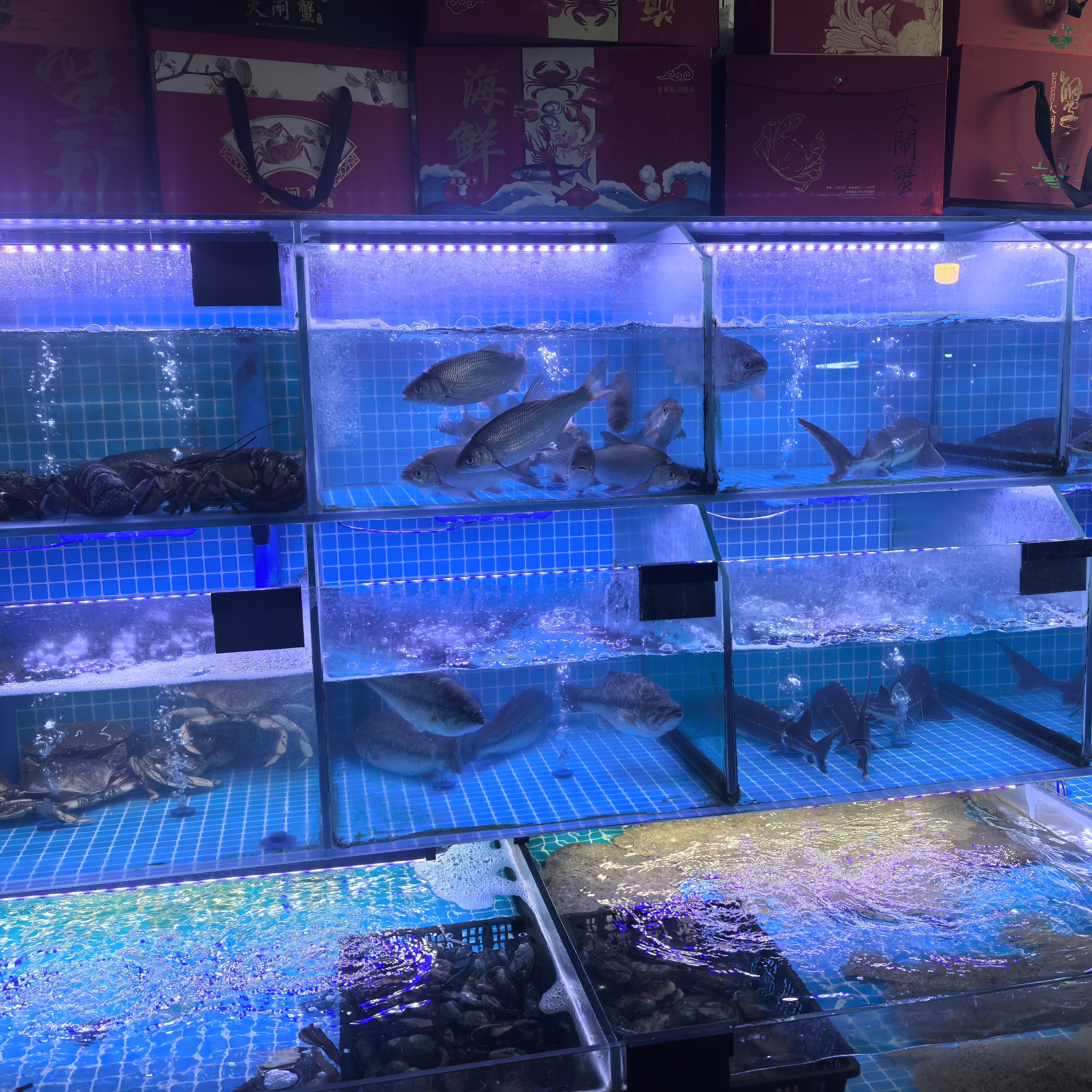 一号改价链接，海鲜现称现卖品质保障