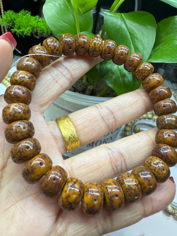 8.12y小文星月经典桶