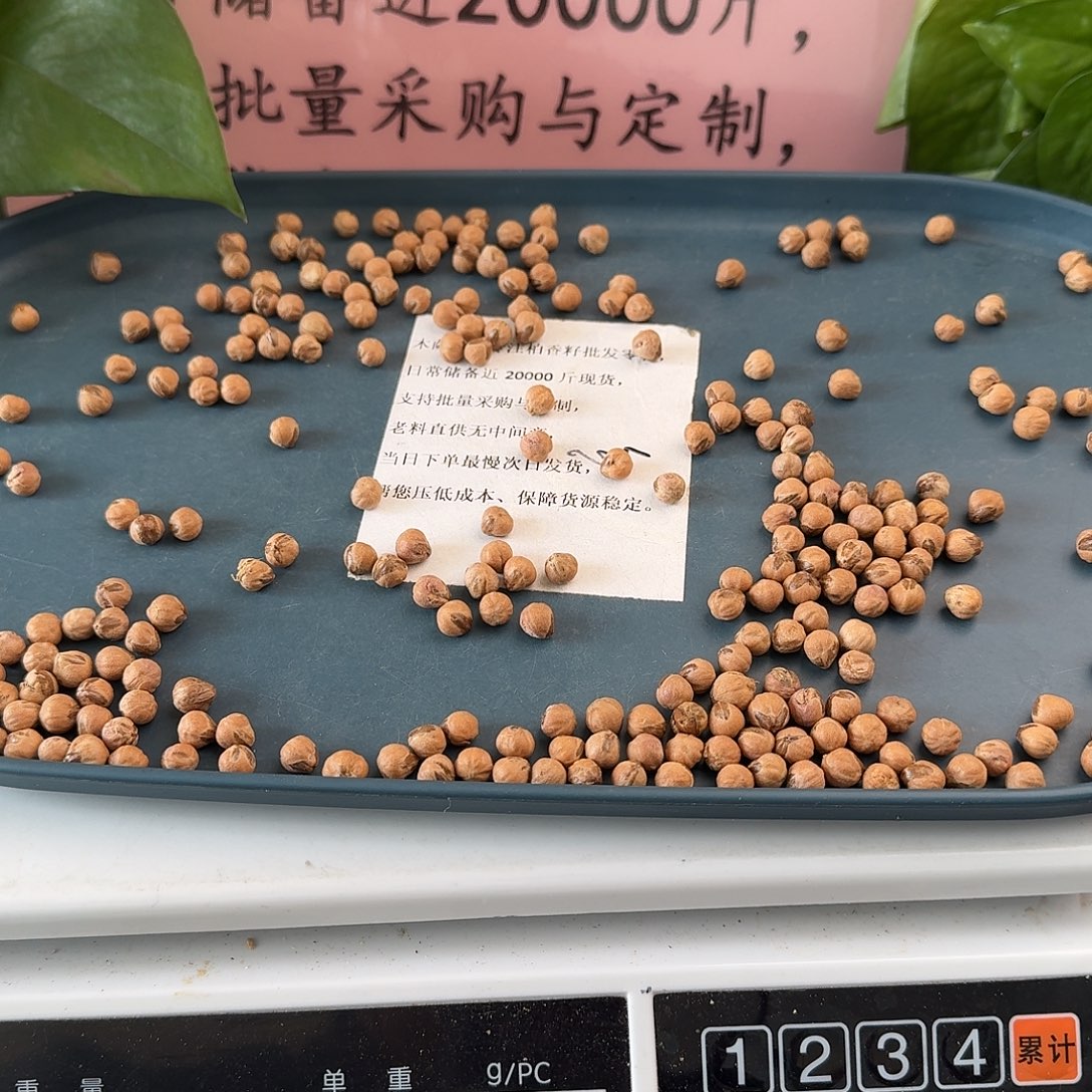 吊坠柏香籽/百香籽72克8+MY01