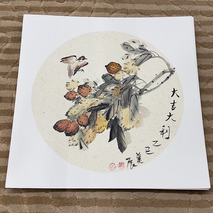 国画花鸟等多种鸟类和动物50.50