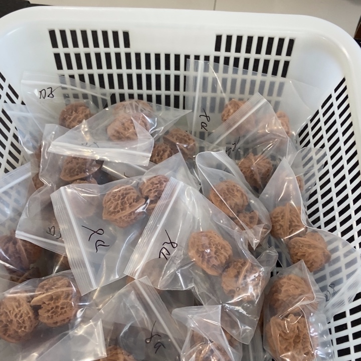 吊坠文玩核桃刀子瑕疵