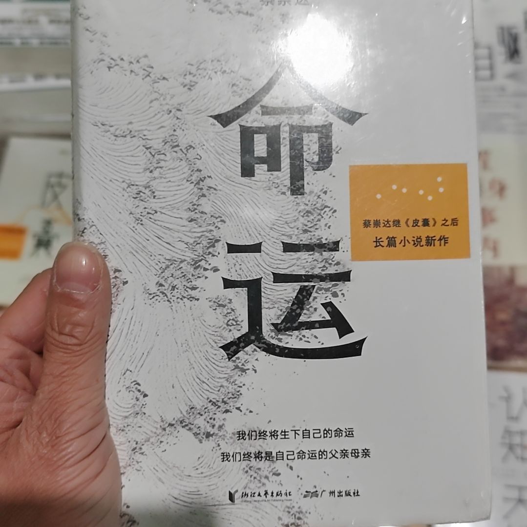 蔡崇达《命运》之后长篇小说讲述闽南沿海小镇人生故事