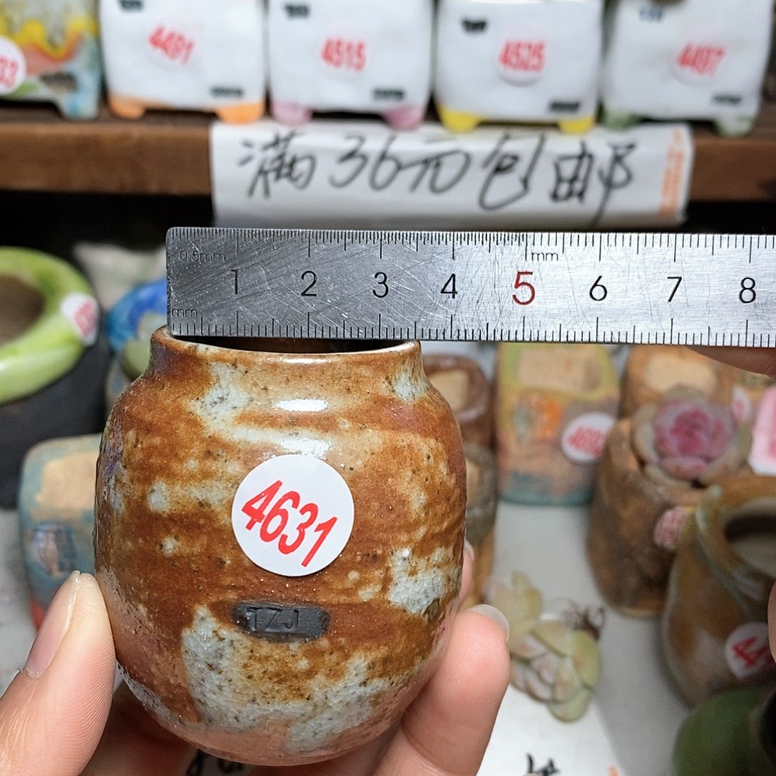 红陶拍5送一个小