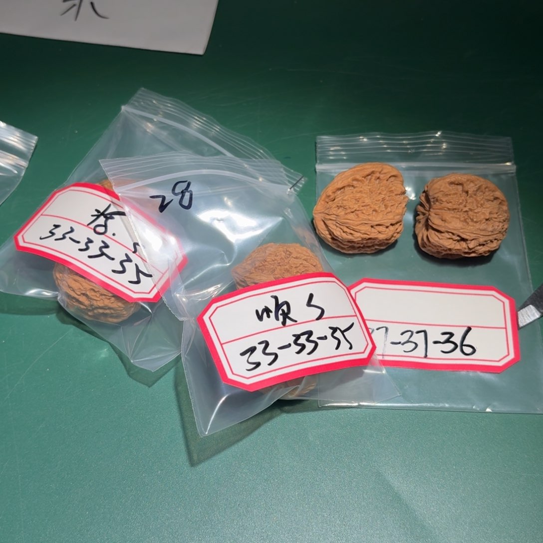 文玩核桃把件28号南疆