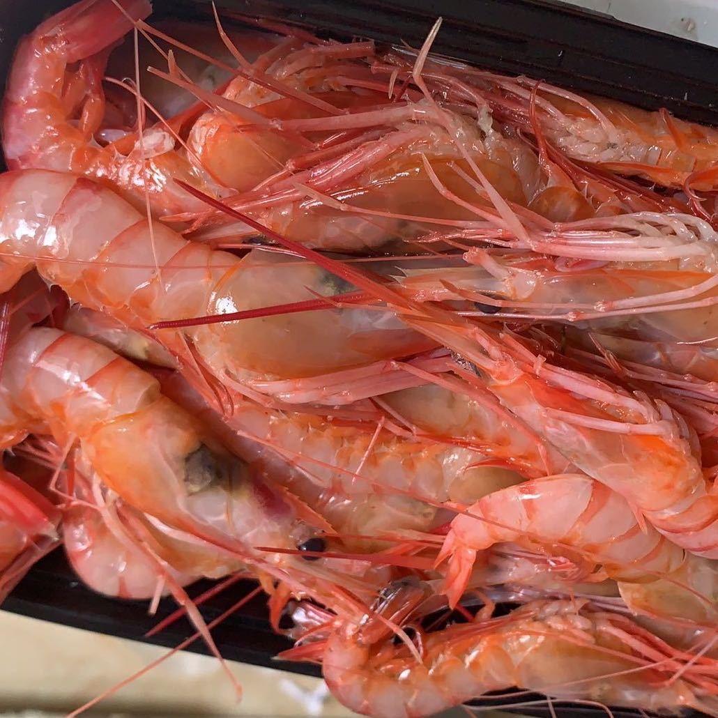 小红虾 深海海捕红虾刺身级国产甜虾新鲜味美待人待客必备冷链
