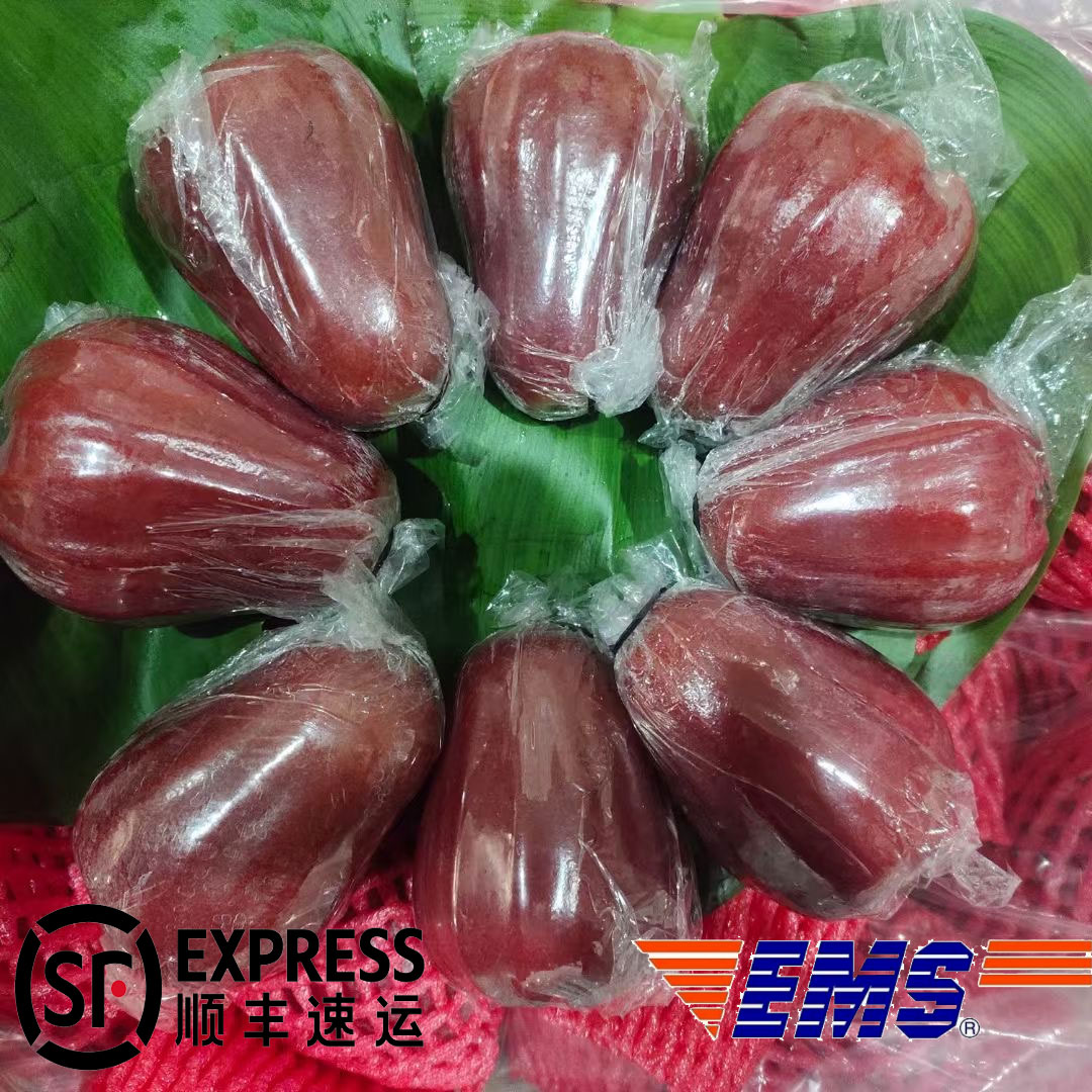 【顺丰/EMS】泰国黑金刚莲雾现货现发清甜汁水足孕妇新鲜水果清脆
