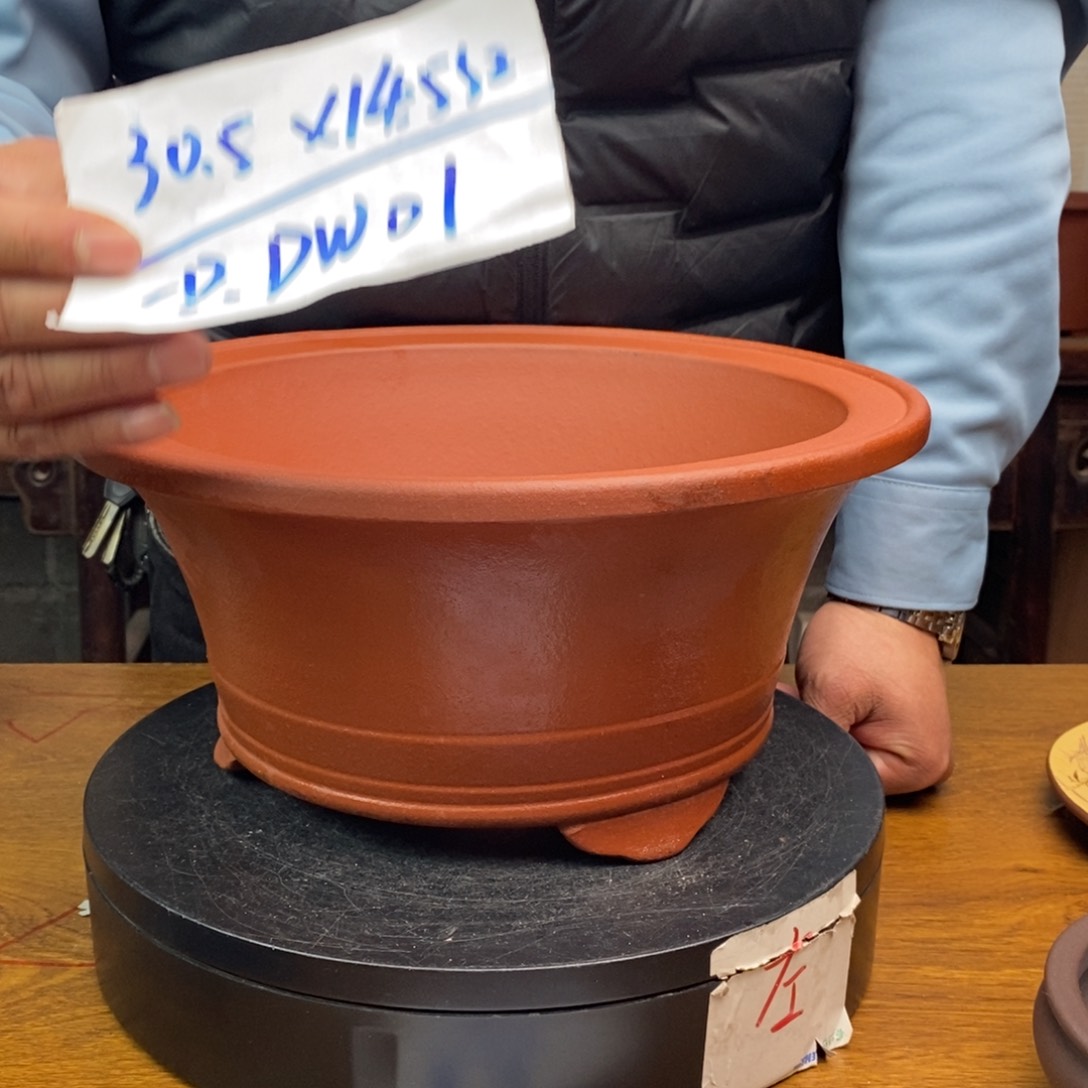 紫砂货号一只DW01