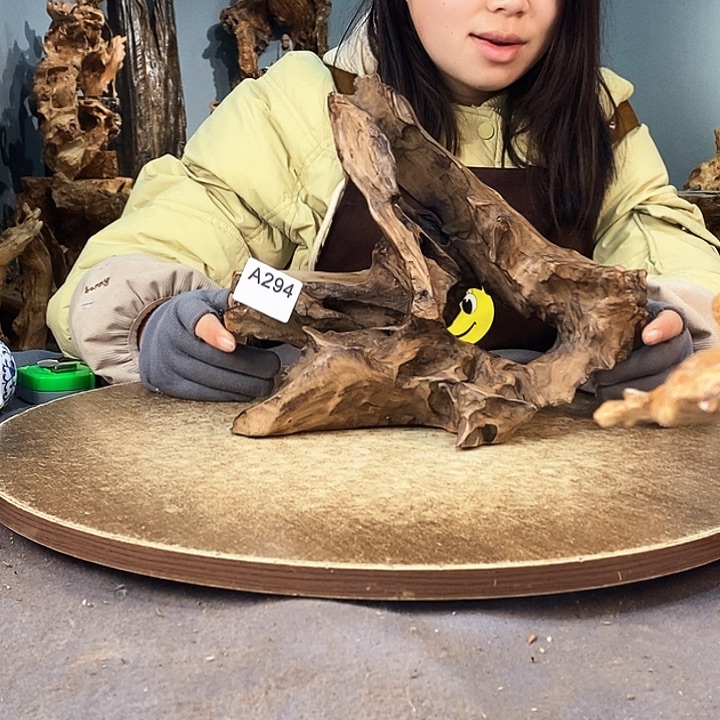 茶盏小****7294株木随行的根艺的