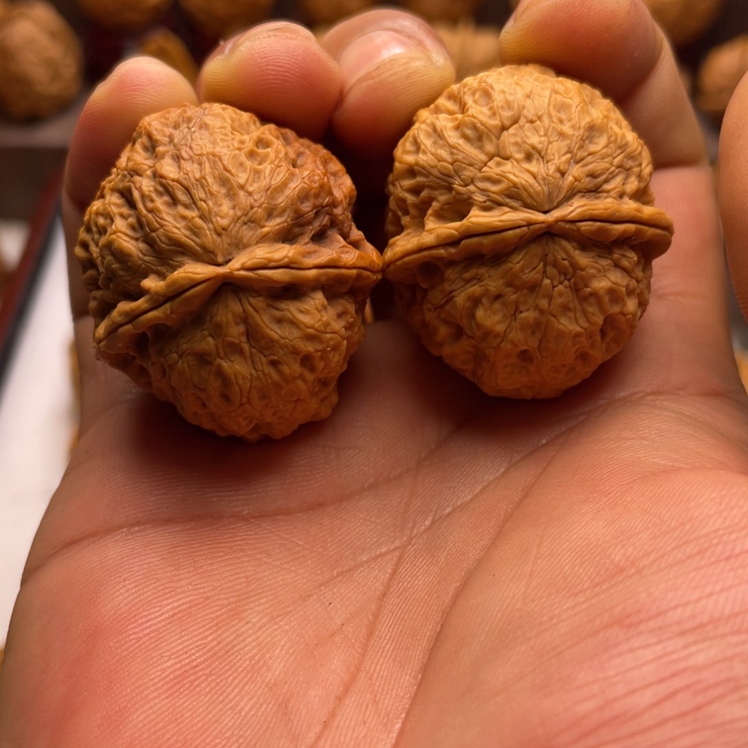 文玩核桃把件龟背元宝