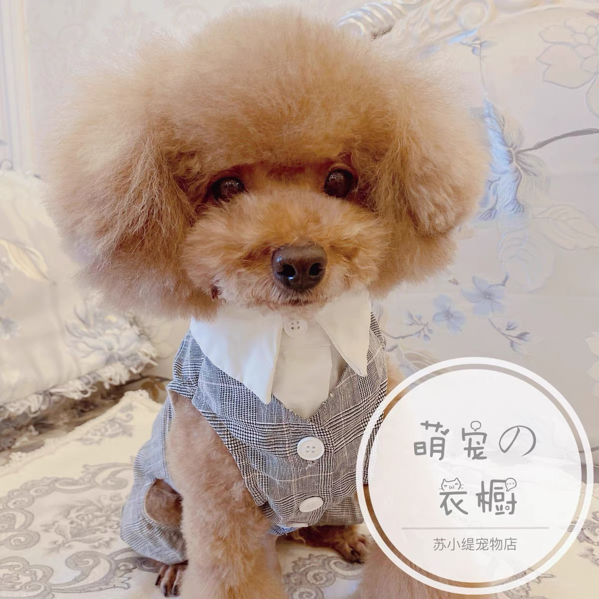 （直播间选款）萌宠服饰小狗猫咪约克夏马尔济斯中高端定制衣服