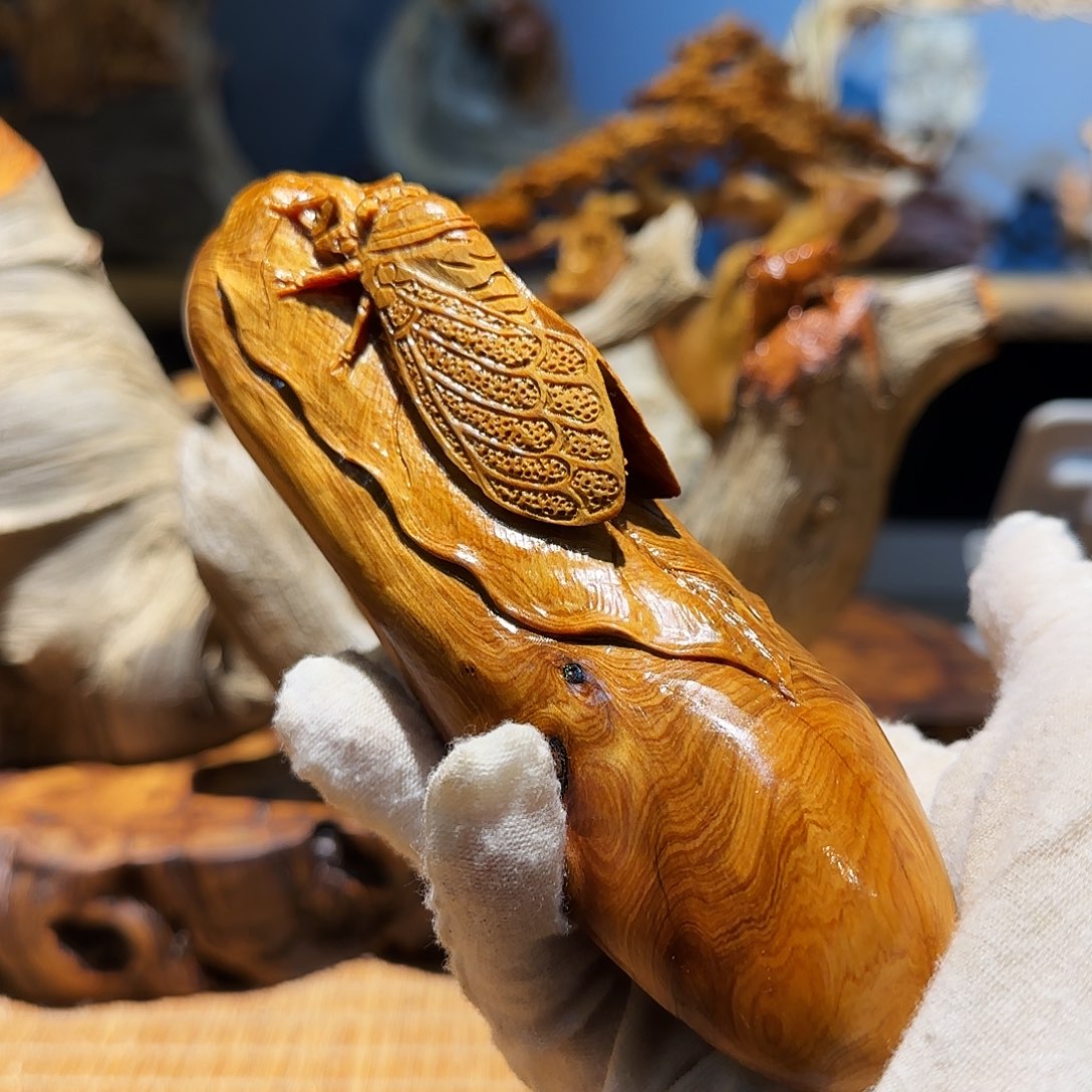 柏木（崖柏）太行集团