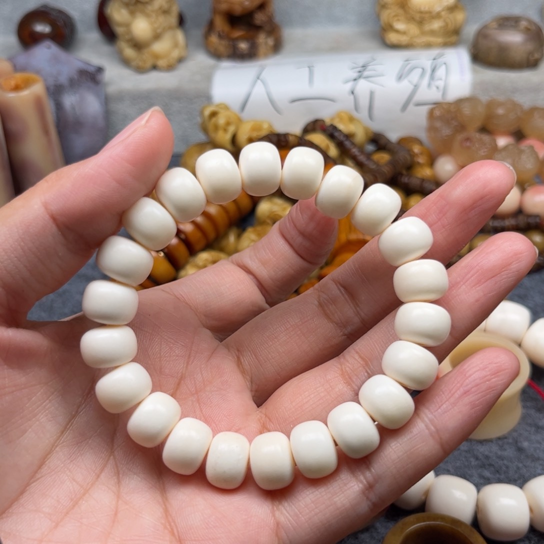 鹿骨其他人工养殖驼骨14