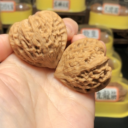 野生小众品爱心38尺