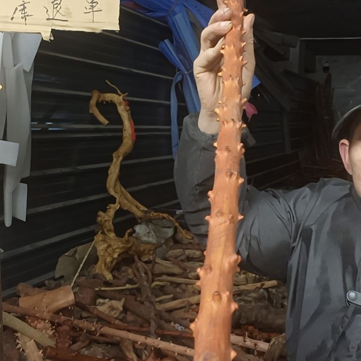 稳定木贵州檬子木   铁马鞭   根艺  半成品