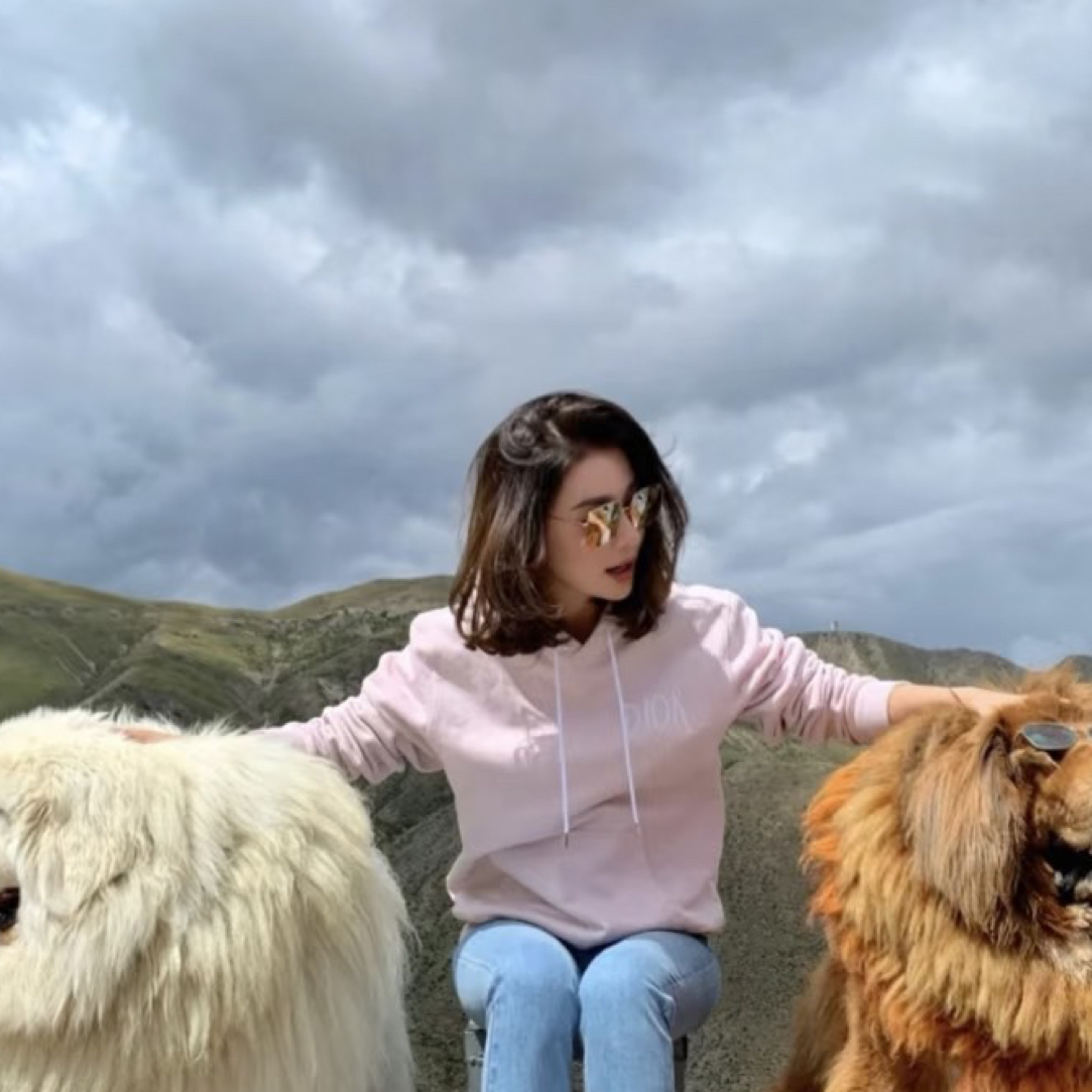 99新 DIOR/迪奥 刺绣logo浅粉帽衫/尺码L/胸围53/衣长66/B06103