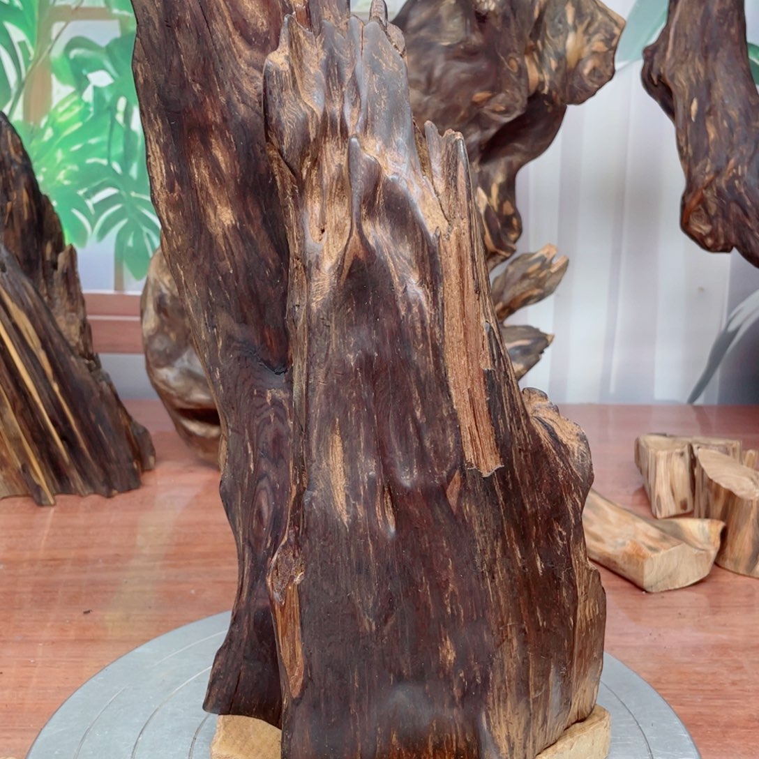 神***0你目的名优木兰狠厉我乐了