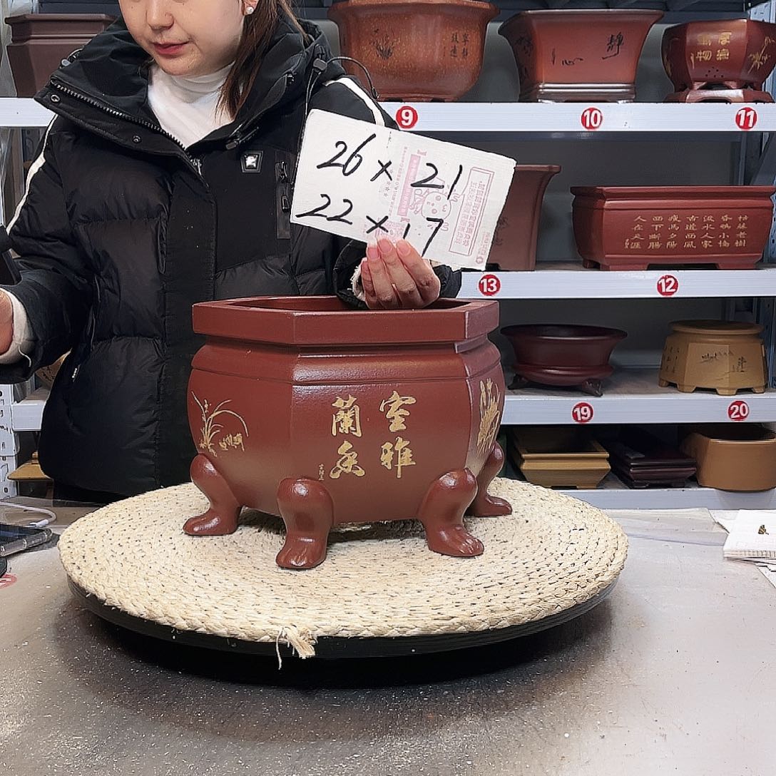 花盆紫砂紫砂花盆中