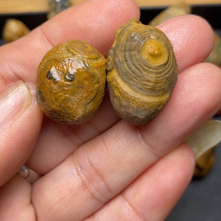 石材纯天然原石奇石45