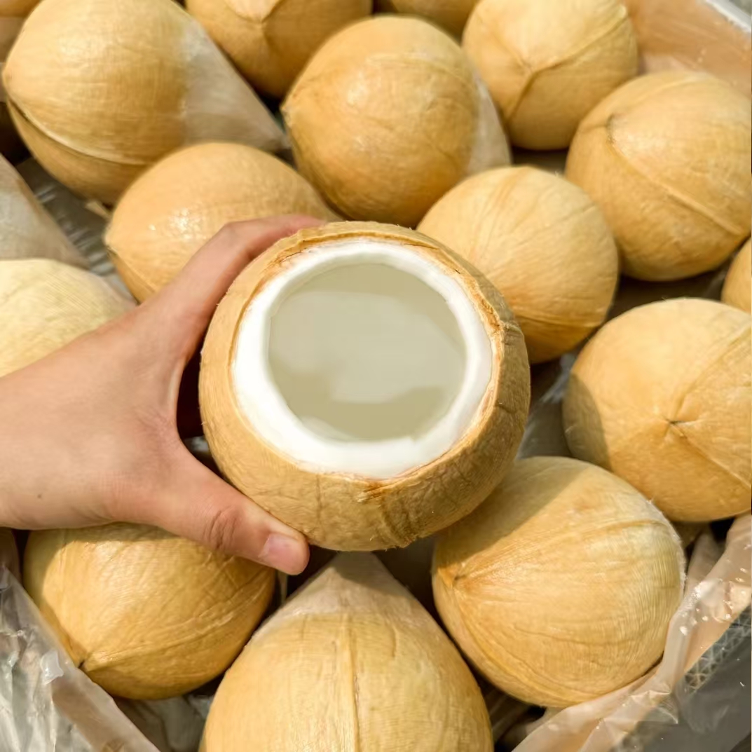 泰国丹嫩沙多核心产区椰皇6-9颗装（400-700g/颗）顺丰快递包邮