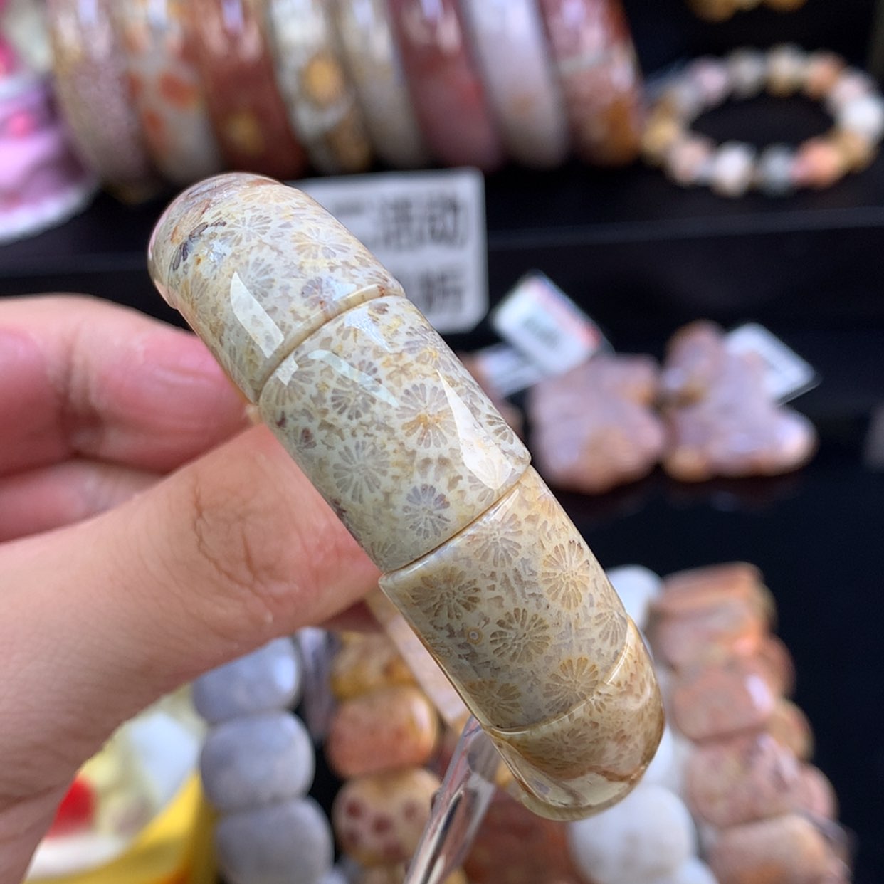 【闪购商品】颈饰未镶嵌硅化珊瑚（珊瑚玉）116号镯牌雏菊