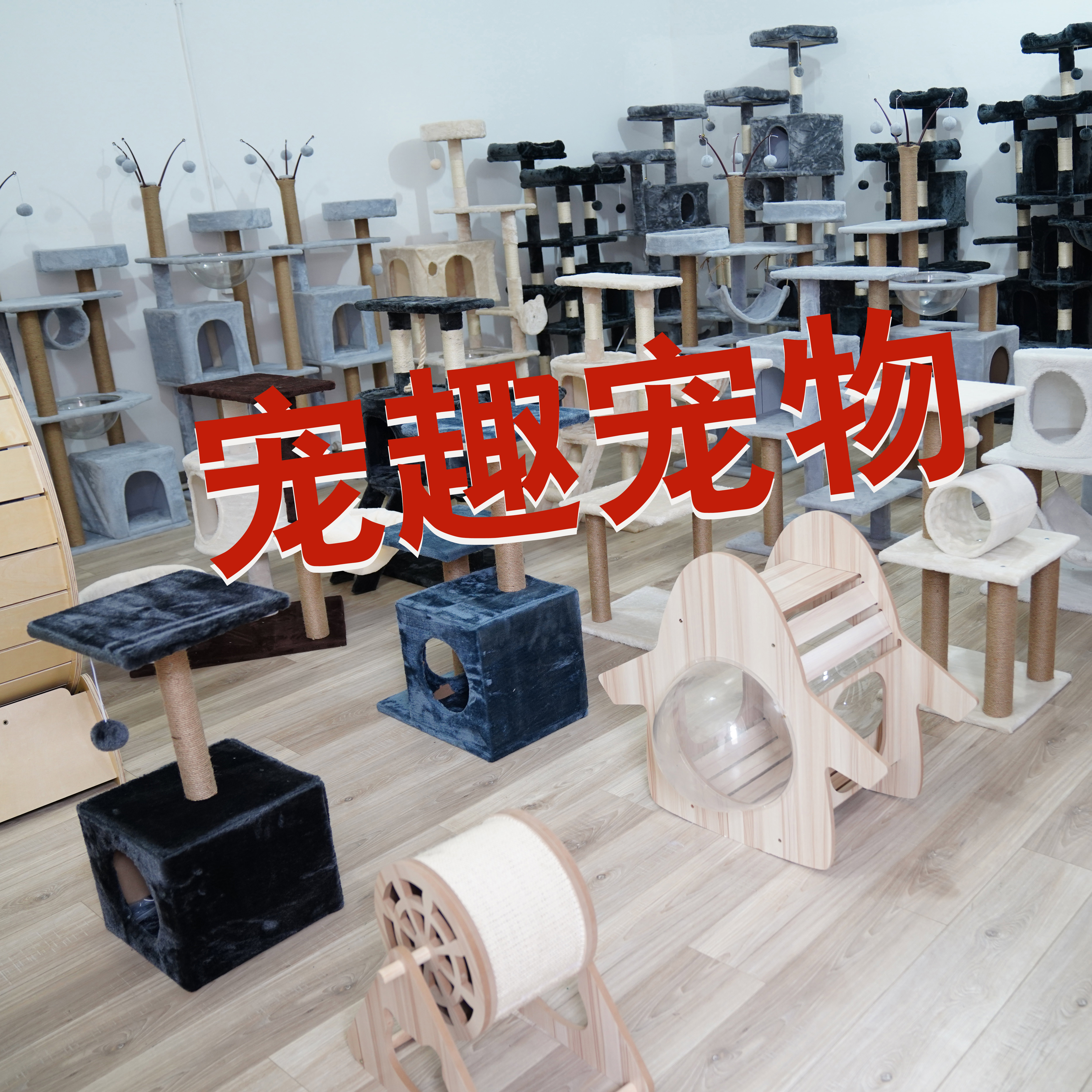 【离开无效】感恩粉丝随机猫用品一件