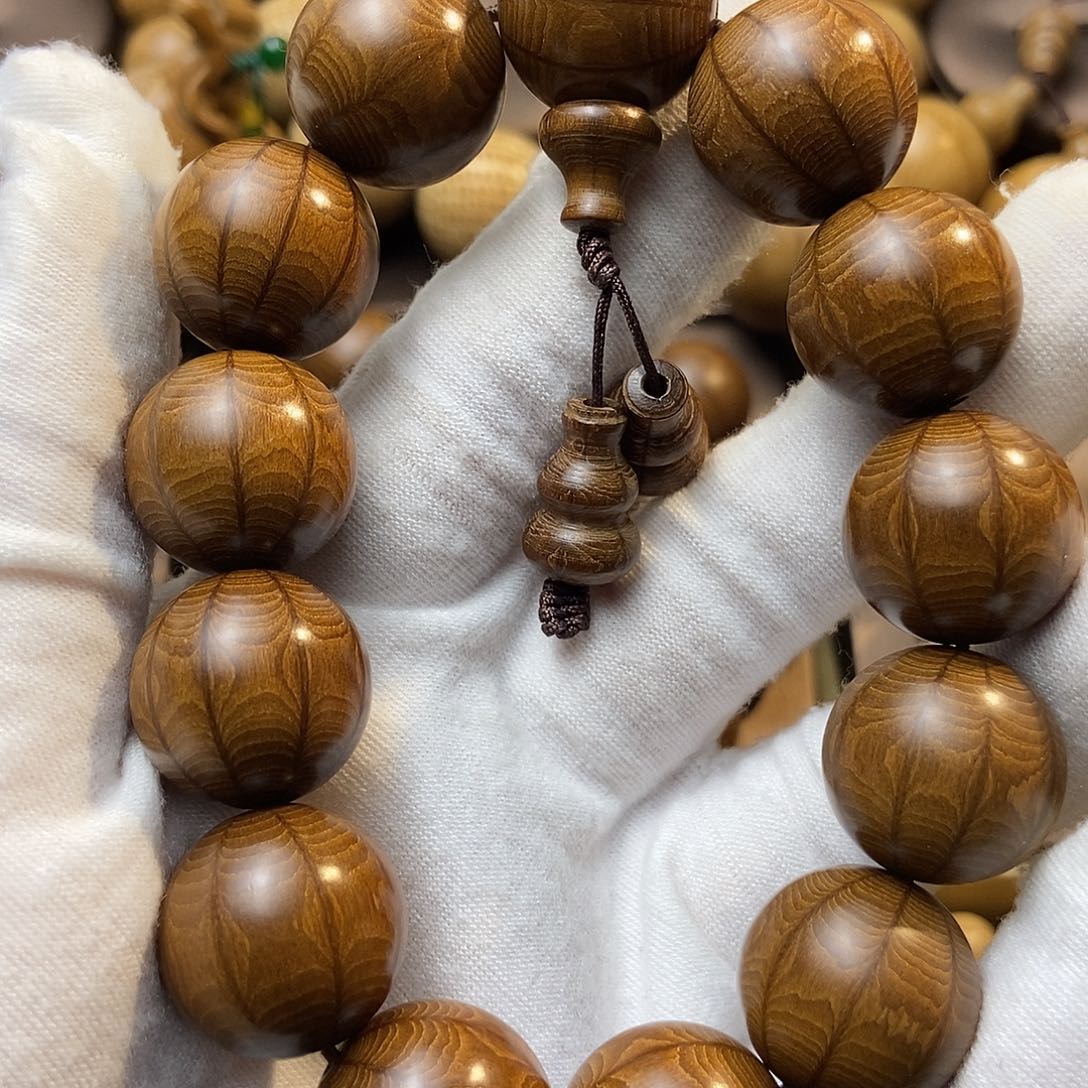 风***间六道木山西五台山