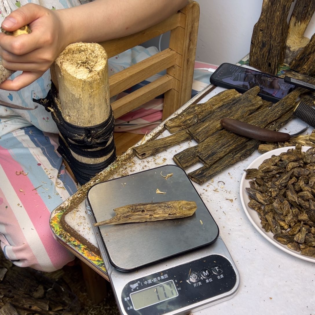 线香奇楠虫漏香17克