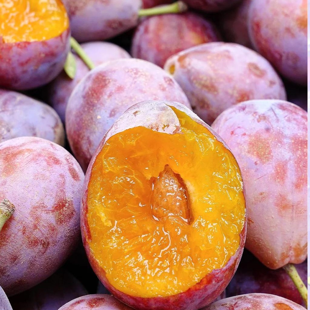 新疆西梅25.8/箱净重4斤左右