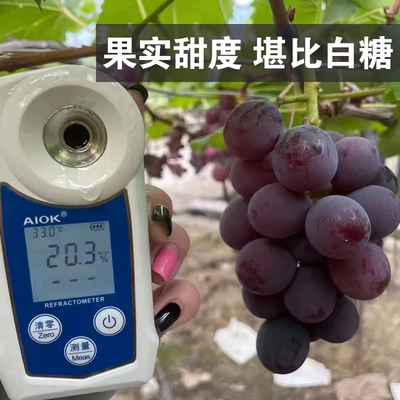 【辽峰葡萄大】送货上门辽宁省