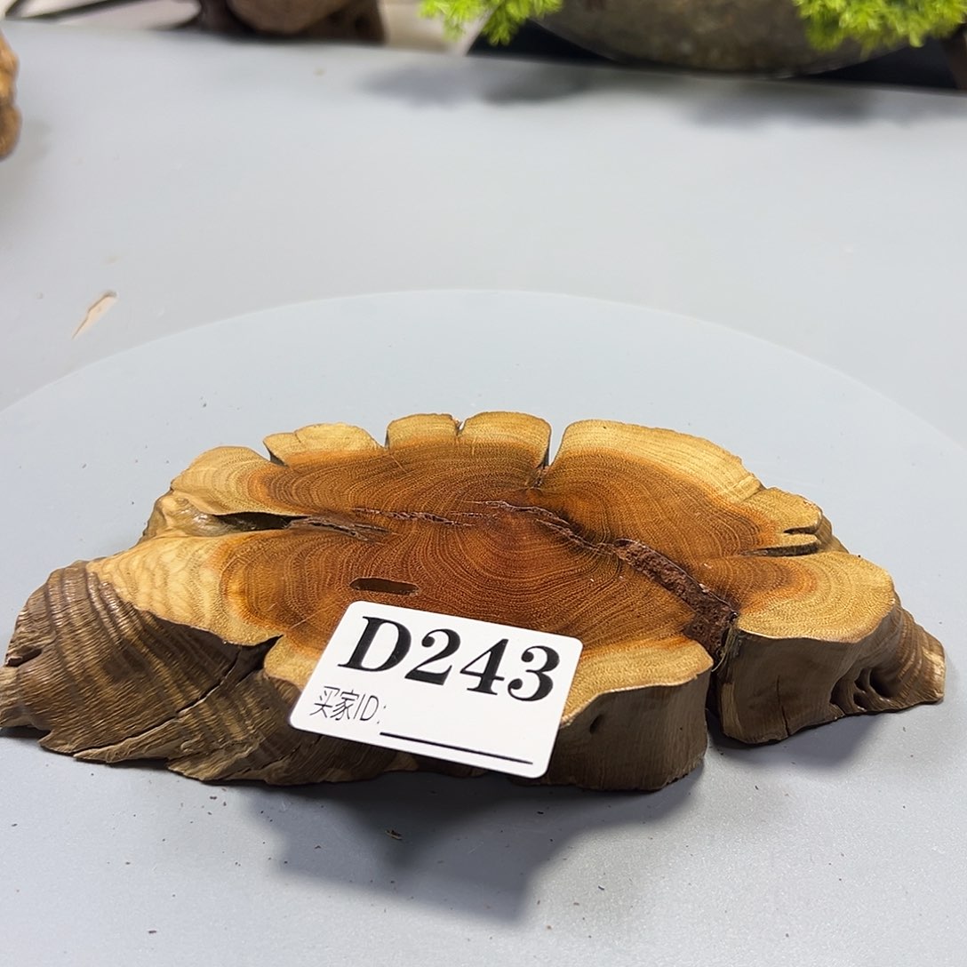 大果紫檀（缅甸花梨）?****?