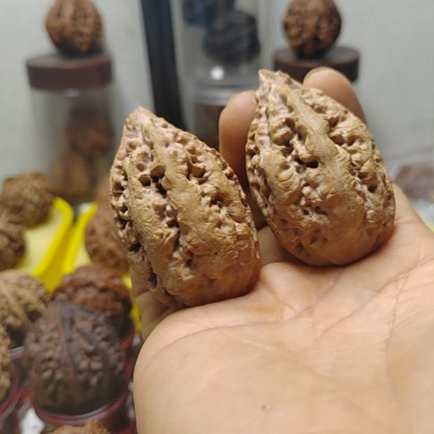 文玩核桃把件大粗筋