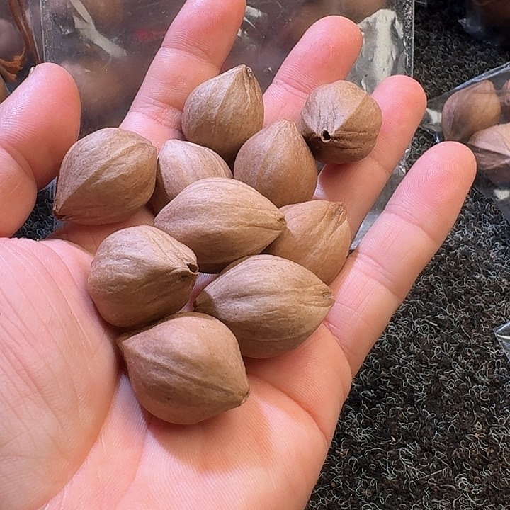 吊坠橄榄核2.2❌3.8