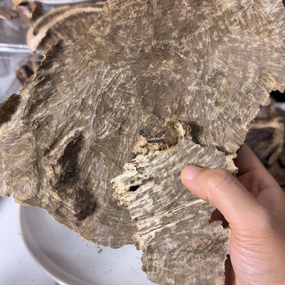 沉香碎屑沉香海南老头37克