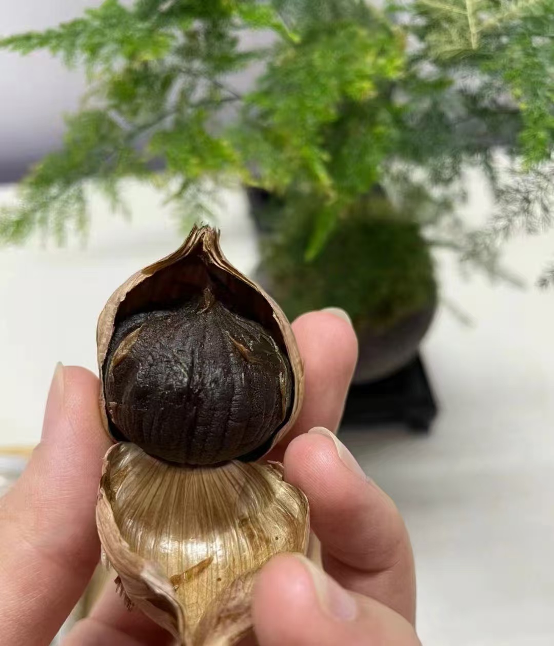 优质好货黑蒜450g 