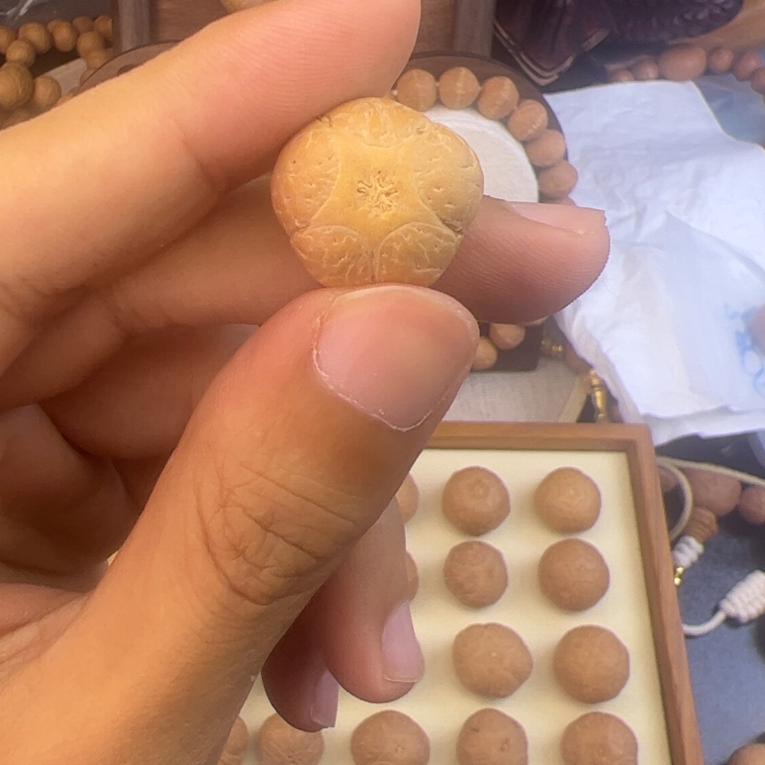 不***休吊坠凤眼菩提一物一图打孔不退不换