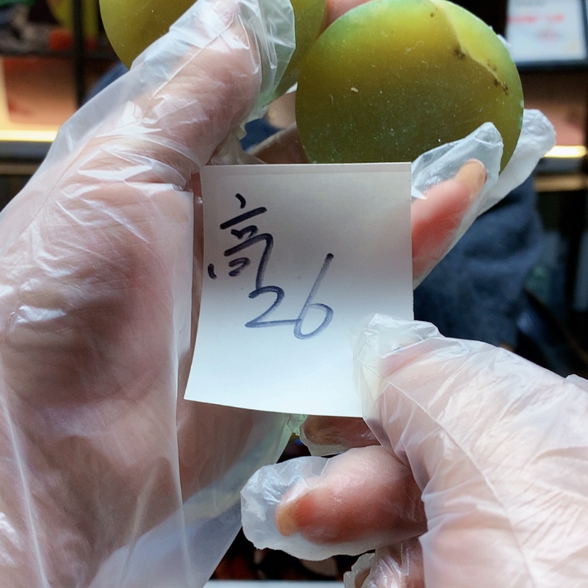 【闪购商品】未镶嵌蛇纹石玉原石