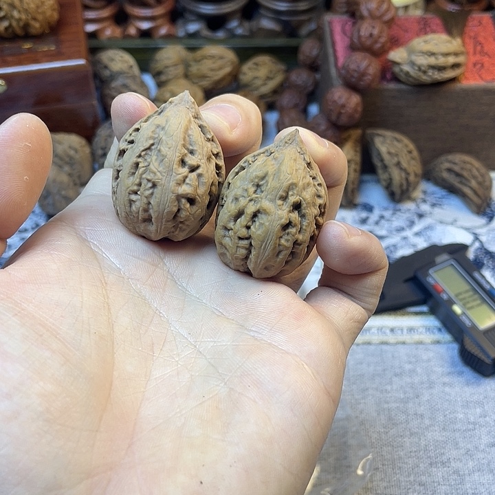 核桃东北楸子高尖虎头8