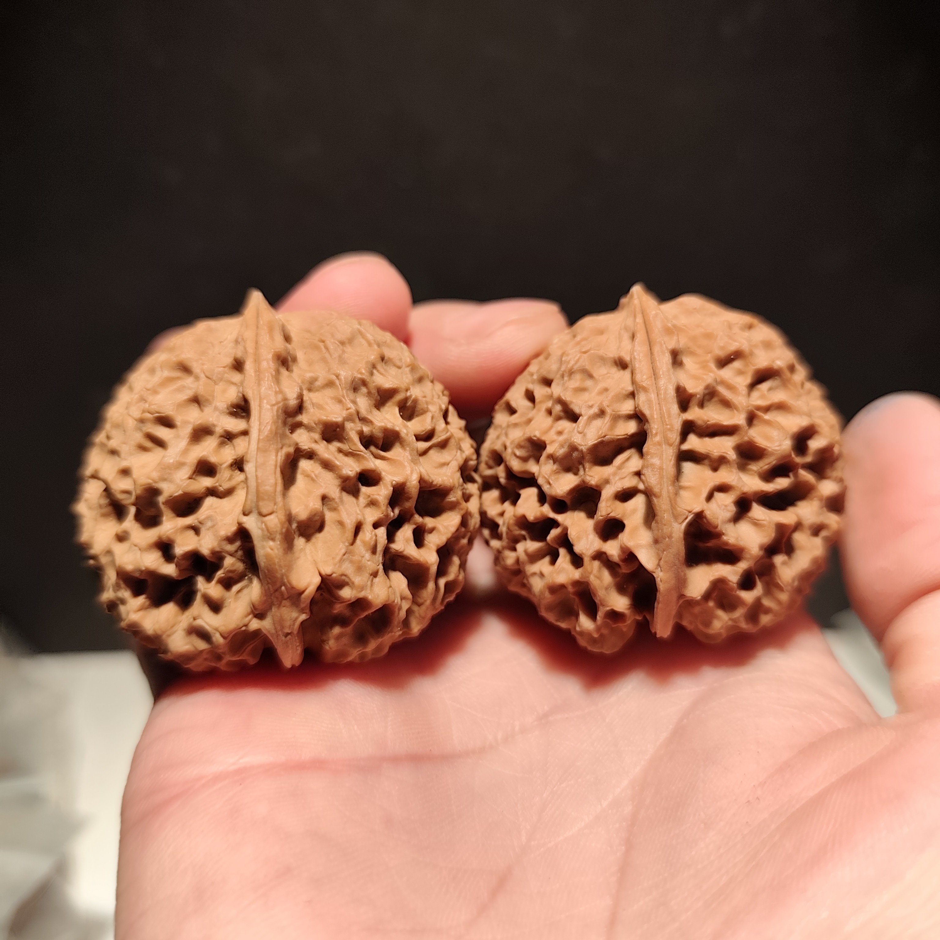 079号42云南铁核桃铁南疆带阴皮磕尖