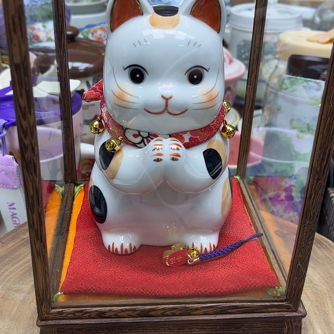 我的姐姐们好可爱