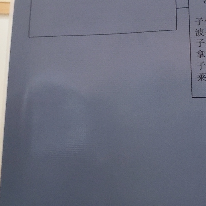 血统书血统书血统书