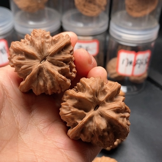 文玩核桃把件壁虎